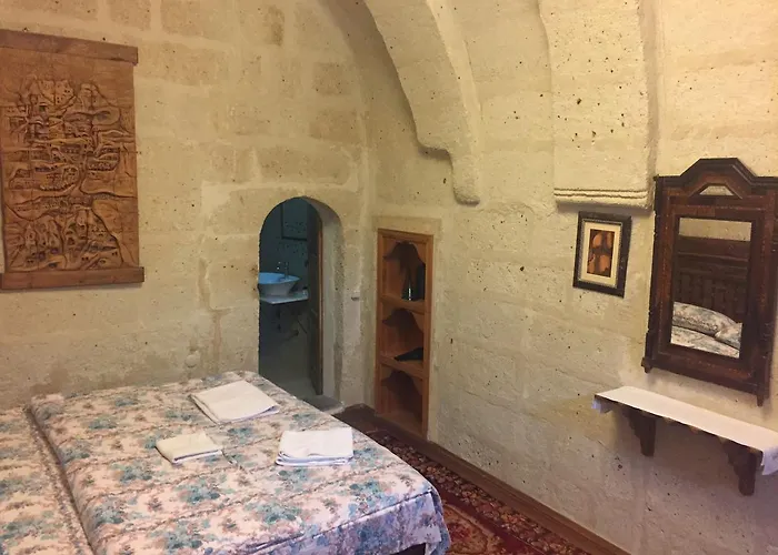 Venessa 아바노스