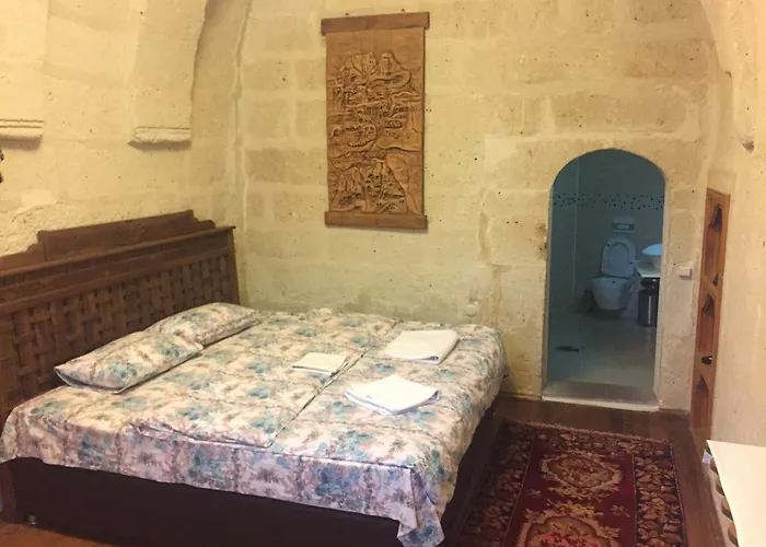 Venessa 아바노스